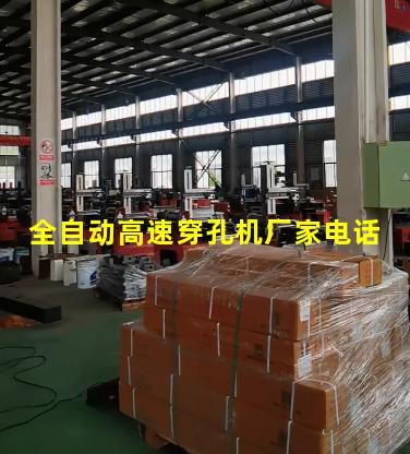 全自动高速穿孔机厂家电话