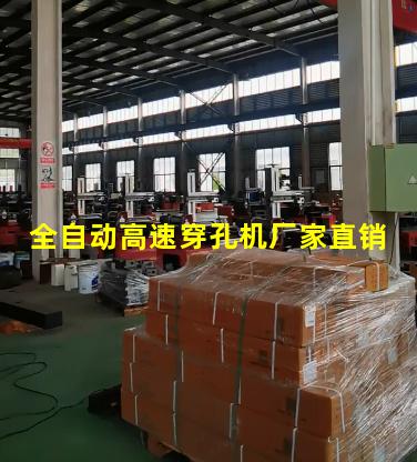 全自动高速穿孔机厂家直销