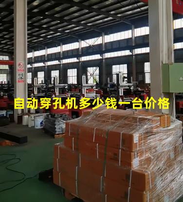 自动穿孔机多少钱一台价格