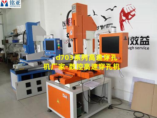 d703系列高速穿孔机厂家-数控高速穿孔机