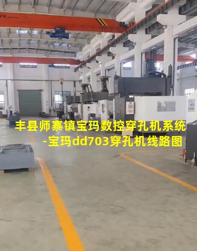 丰县师寨镇宝玛数控穿孔机系统-宝玛dd703穿孔机线路图