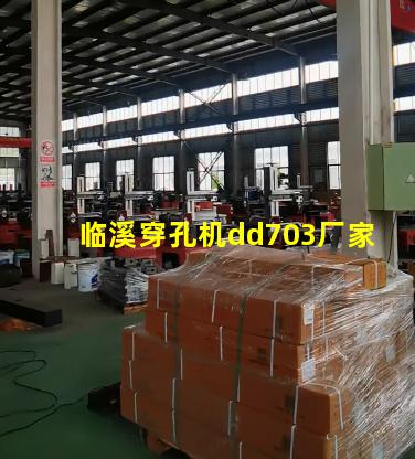 临溪穿孔机dd703厂家