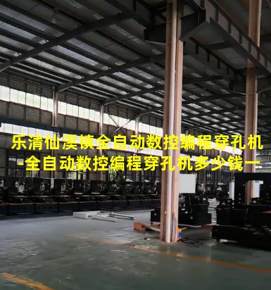 乐清仙溪镇全自动数控编程穿孔机-全自动数控编程穿孔机多少钱一台