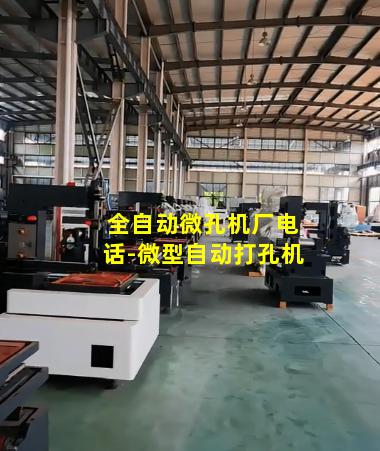 全自动微孔机厂电话-微型自动打孔机