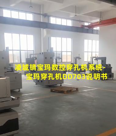 凌城镇宝玛数控穿孔机系统-宝玛穿孔机DD703说明书