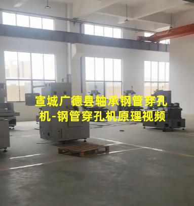 宣城广德县轴承钢管穿孔机-钢管穿孔机原理视频