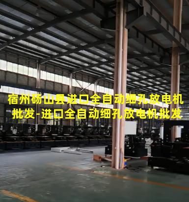 宿州砀山县进口全自动细孔放电机批发-进口全自动细孔放电机批发价格