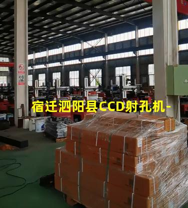 宿迁泗阳县CCD射孔机-