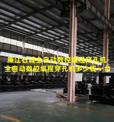廉江石城全自动数控编程穿孔机-全自动数控编程穿孔机多少钱一台