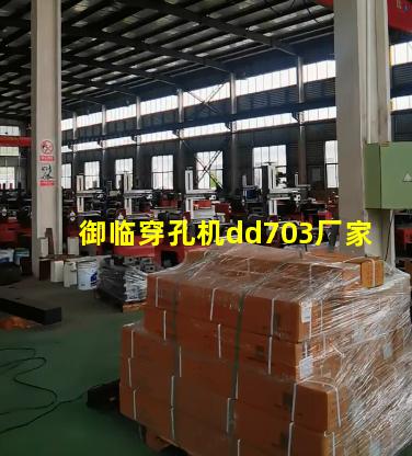 御临穿孔机dd703厂家