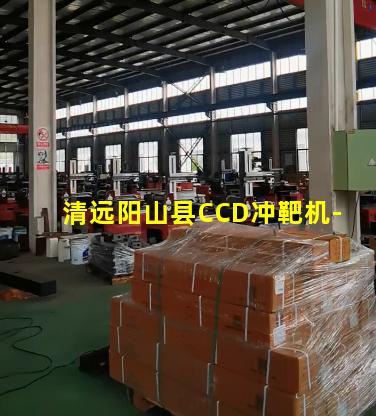 清远阳山县CCD冲靶机-