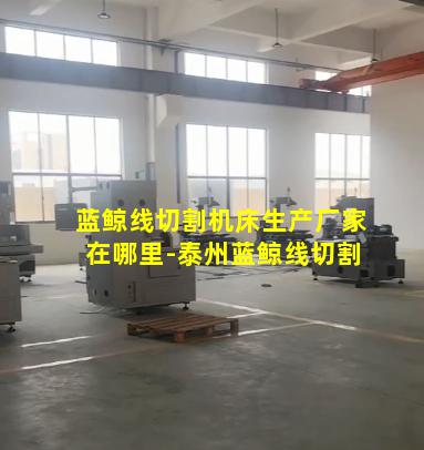蓝鲸线切割机床生产厂家在哪里-泰州蓝鲸线切割