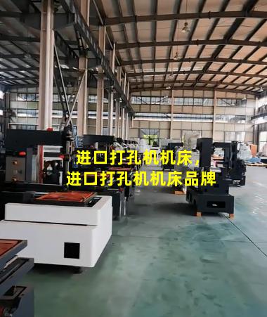 进口打孔机机床，进口打孔机机床品牌