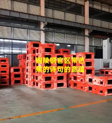 铜陵铜官区带芭蕉的诗句的意蕴